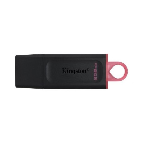 MEMORIA USB FLASH KINGSTON 256 GB USB 3.2 GEN 1 (DTX/256GB)