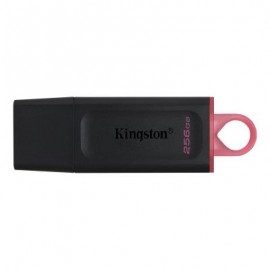 MEMORIA USB FLASH KINGSTON 256 GB USB 3.2 GEN 1 (DTX/256GB)