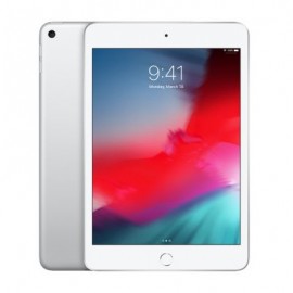 IPAD MINI 5 RETINA WI-FI 64GB PLATA MUQX2LZ/A