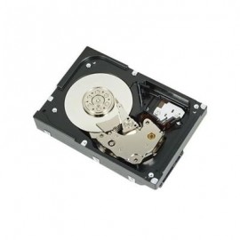 DISCO DURO DELL 1TB 7.2K SATA 3.5" PARA T140/R240 (400-AUPW)