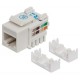 JACK INTELLINET CAT 6  DE IMPACTO (KEYSTONE) BLANCO (210591)