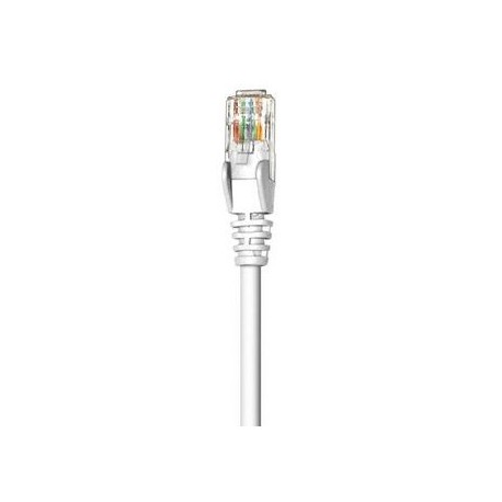 CABLE PATCH INTELLINET CAT5E, 4.2 MTS (14.0F) UTP BLANCO 320702