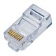 PLUG RJ45 CAT5E QIAN NW5100 BOTE 100 PIEZAS BAÑO ORO