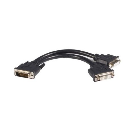 Cable DMS 59 LFH 59 Macho  a Dos DVI-I Hembra 8  STARTECH DMSDVIDVI1